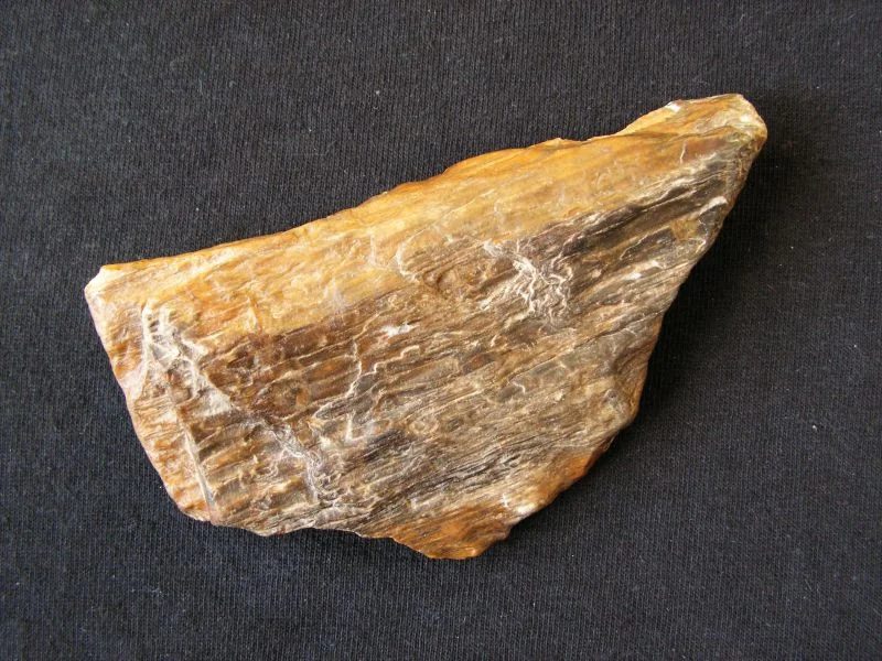 Mineral photo of Quartz (var. petrified wood) from locality Vražné (okr. Nový Jičín), Czech Republic