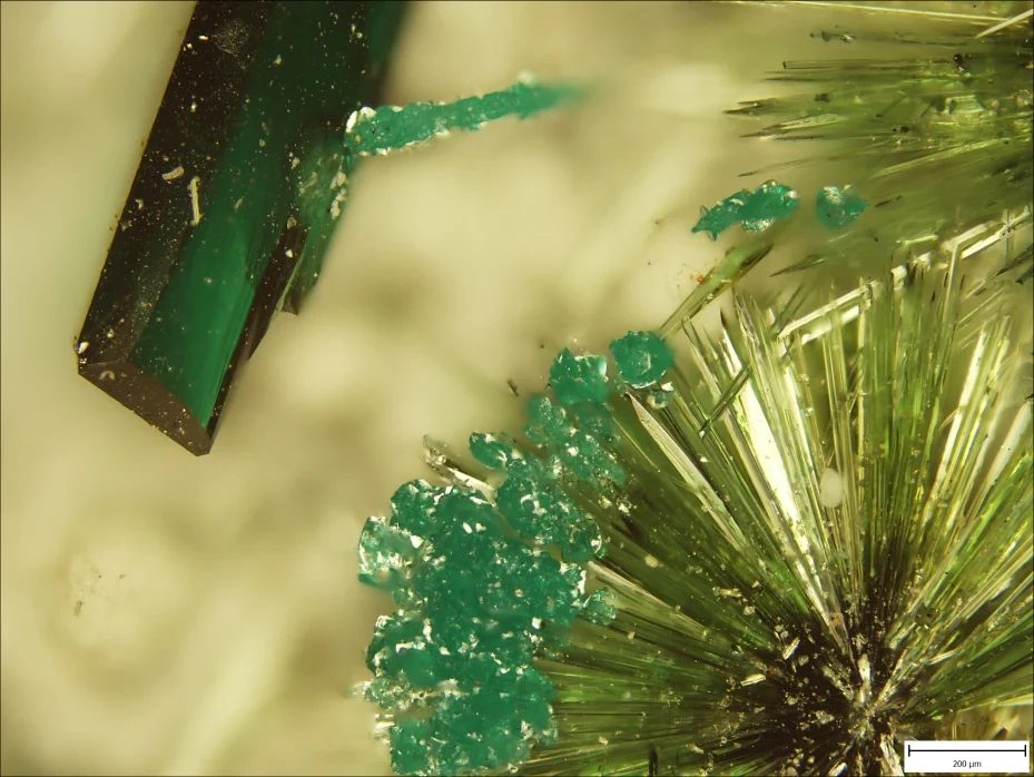 Atacamite, Olivenite, Pseudomalachite