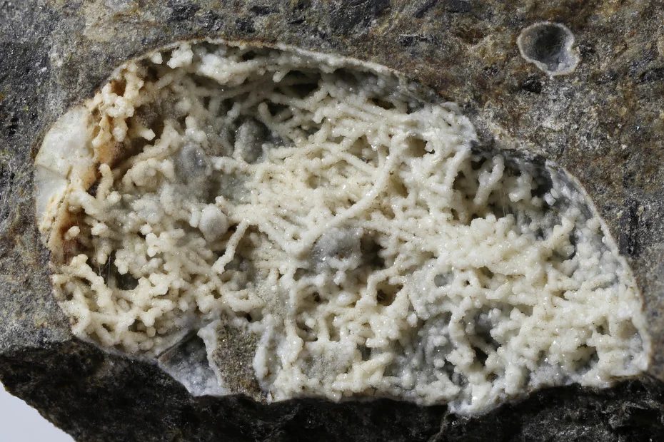 Phillipsite