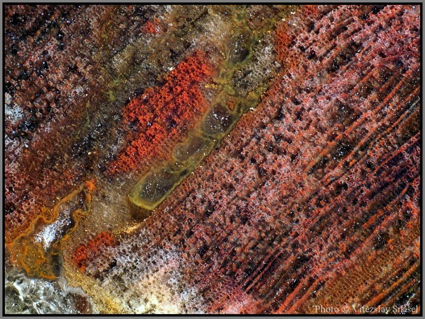 Mineral photo of Quartz (var. petrified wood) from locality Studenec, Czech Republic