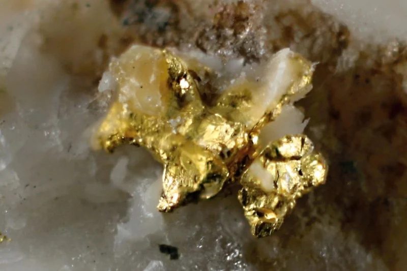 Gold