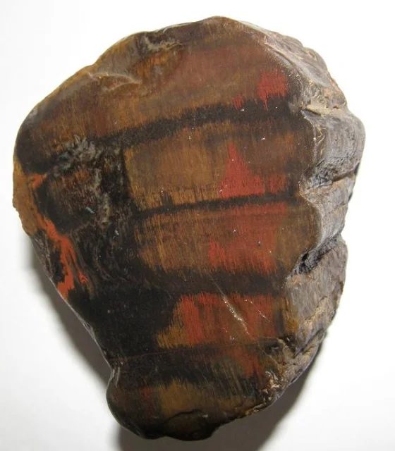 Quartz (var. petrified wood)