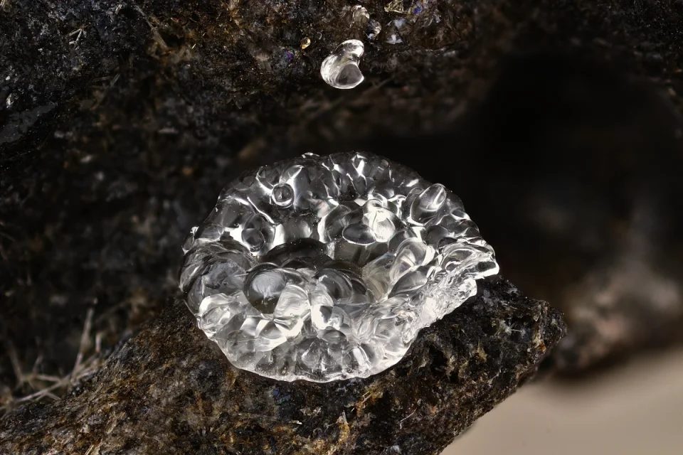 Opal (var. hyalite)