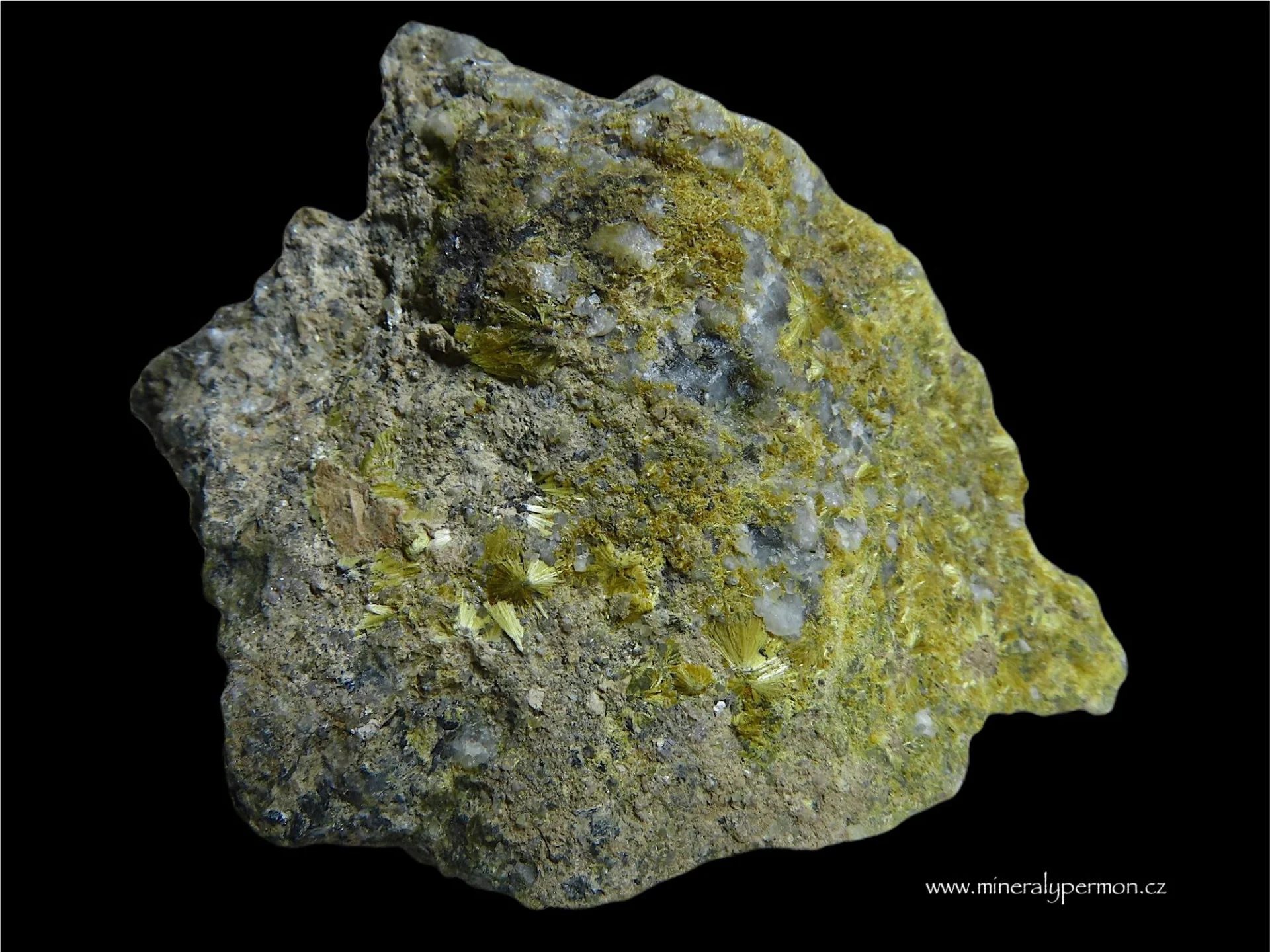 Carpholite